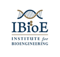 IBIOE Logo